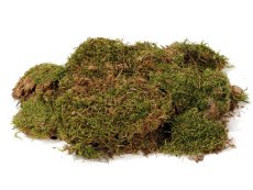 DRIED MOSS