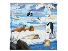 CONNECTED PUZZLE Polar animals