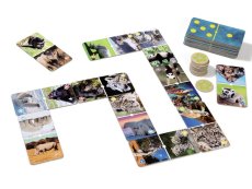 GIANT PHOTO DOMINOES Endangered animals