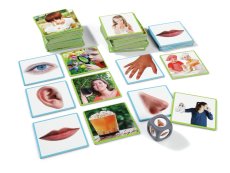The 5 senses ASSOCIATION PICTURE BOOK