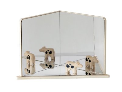 Zoom bild av 90° angle EXPLORATION MIRROR