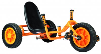 Zoom bild av Rider