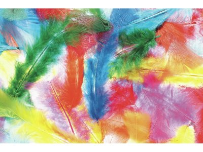 Zoom bild av DOWN FEATHERS