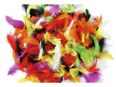 Zoom bild av DOWN FEATHERS