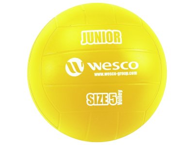 Zoom bild av Junior VOLLEYBALL Size 5