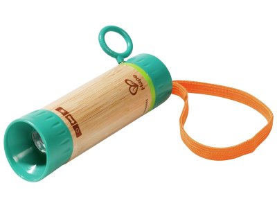 Zoom bild av TORCH