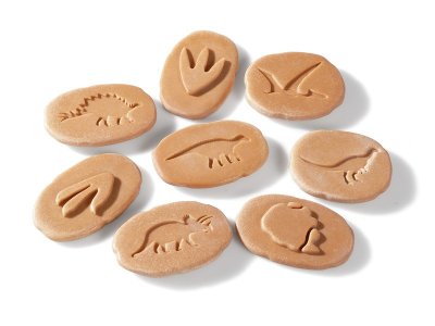 Zoom bild av TACTILE PRINTING PEBBLES Dinosaurs