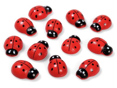 Zoom bild av ADHESIVE DECORATIVE WOODEN SHAPES Ladybirds