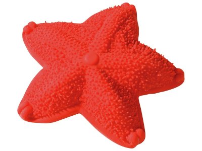 Zoom bild av TEETHING RATTLE Starfish