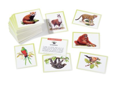 Zoom bild av 100 BONS POINTS