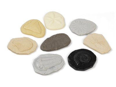 Zoom bild av TACTILE PEBBLES of fossils