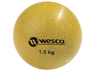 Zoom bild av Progressive WEIGHTED BALLS 1.5 kg