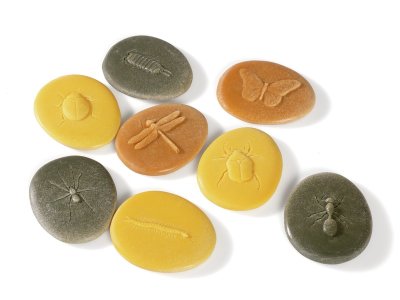 Zoom bild av TACTILE PEBBLES Insects