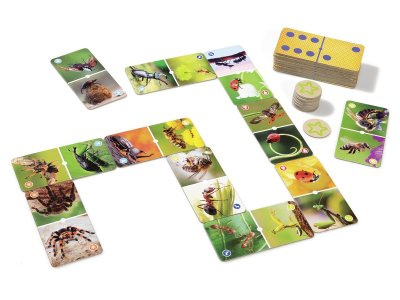 Zoom bild av GIANT PHOTO DOMINOES Insects