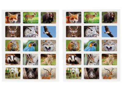 Zoom bild av Woodland animals