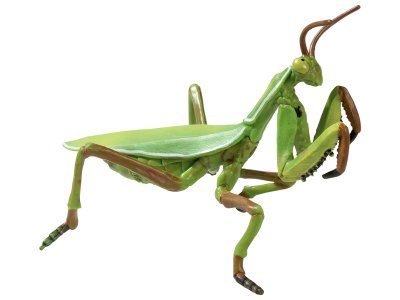 Zoom bild av FIGURINE
