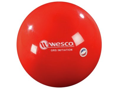 Zoom bild av BEGINNERS RHYTHMIC GYMNASTIC BALL
