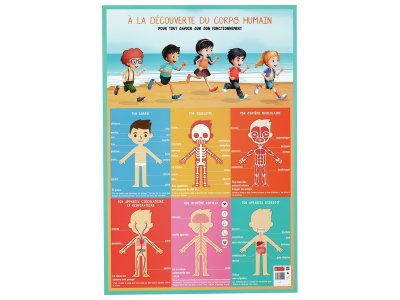 Zoom bild av MY FIRST POSTER THE HUMAN BODY