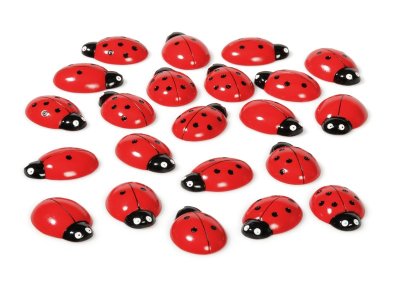 Zoom bild av LADYBIRDS Count from 0 to 20