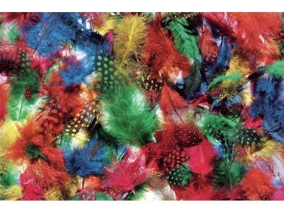 Zoom bild av SPECKLED FEATHERS