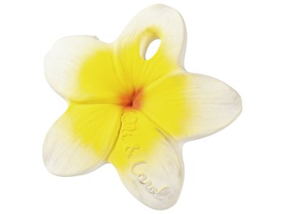 Zoom bild av TEETHING RATTLE Flower container