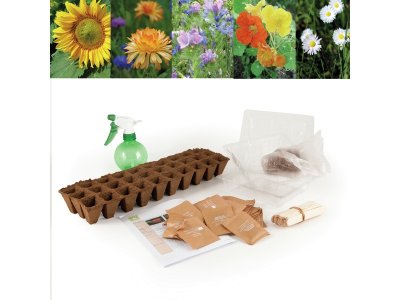 Zoom bild av SEED KIT Flowers