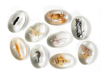 Zoom bild av OBSERVATION PEBBLES Ocean