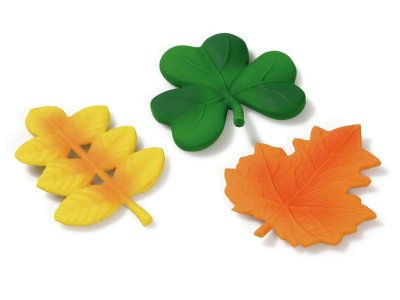 Zoom bild av TEETHING RATTLE leaves