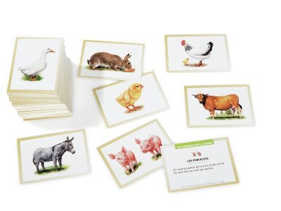 Zoom bild av Farm animals