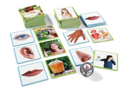 Zoom bild av The 5 senses ASSOCIATION PICTURE BOOK