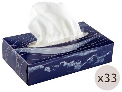 Zoom bild av TISSUES 33 boxes of 100