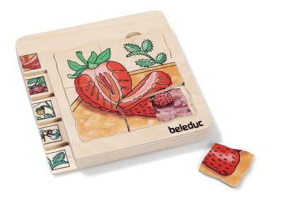 Zoom bild av LIFE CYCLE PUZZLE Fruits The strawberry