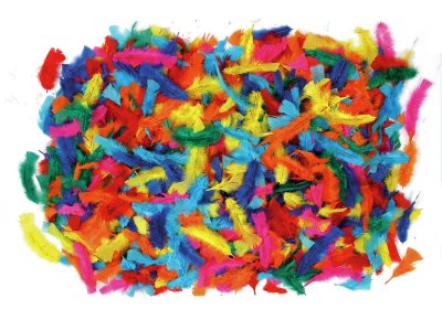 Zoom bild av Coloured DUVET FEATHERS