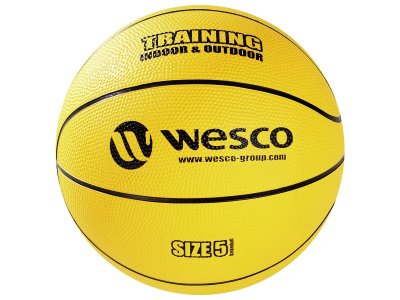 Zoom bild av Indoor Outdoor Training BASKETBALL Size 5